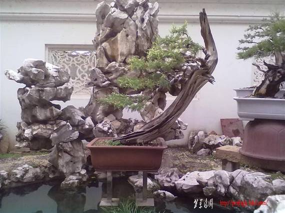 20100929105.jpg