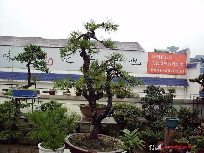 DSCI0001.JPG