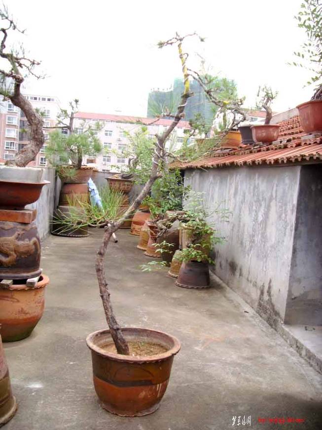 SDC11599.JPG