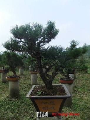 2010_09300088.JPG