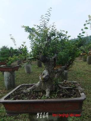 2010_09300080.JPG