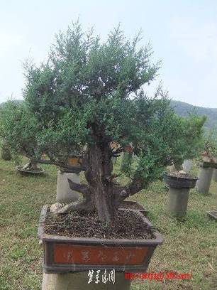 2010_09300063.JPG