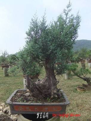 2010_09300070.JPG