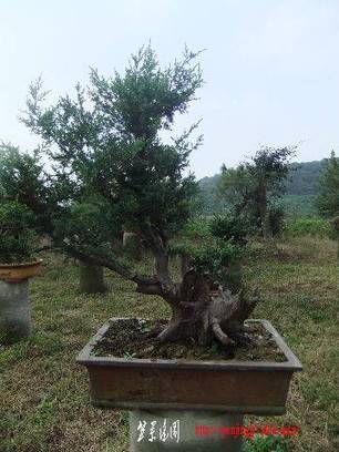 2010_09300078.JPG