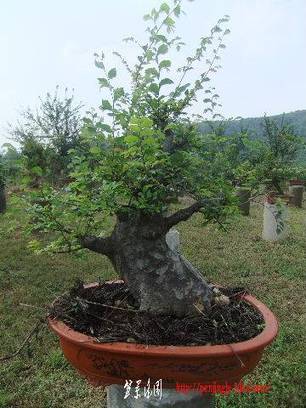 2010_09300081.JPG