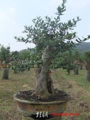 2010_09300067.JPG