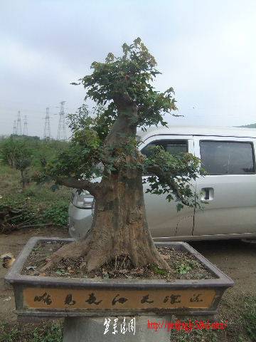 2010_09300065.JPG