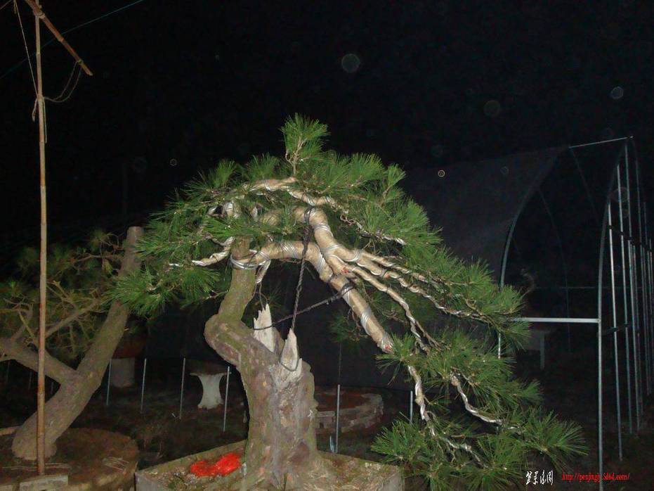 DSC01790.JPG