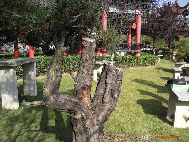 20071123_2c6eeca7ba411579e425M00XzMaHdLl3[1].jpg
