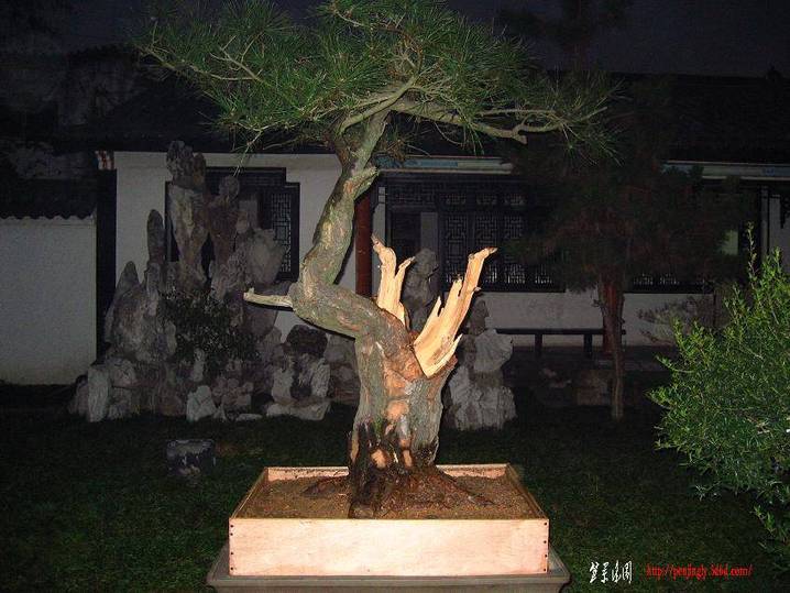 20071123_a68afe880329e8fb25ddf7S6v79AheVG[1].jpg