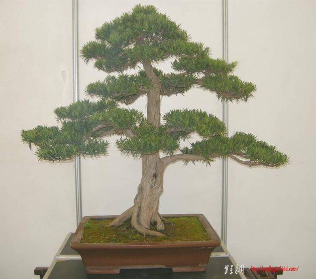 DSCN1470.JPG
