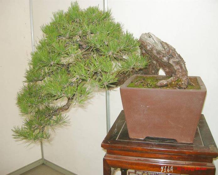 DSCN1475.JPG
