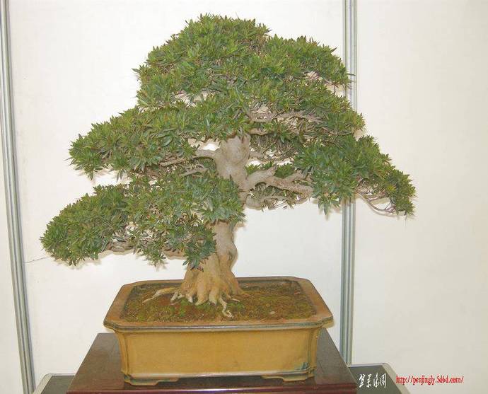 DSCN1478.JPG