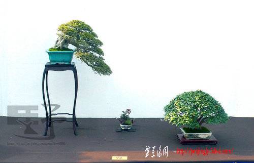 ap_F23_20091102112109718.jpg