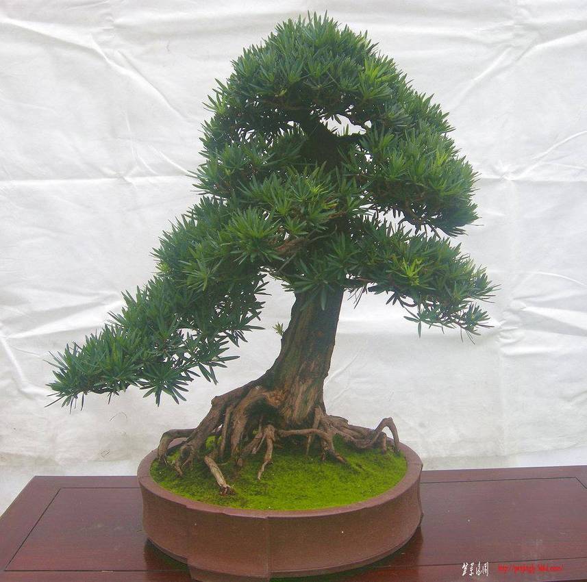 DSCN1323.JPG