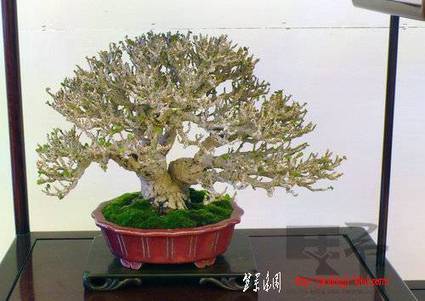 ap_F23_20091025110734155.jpg