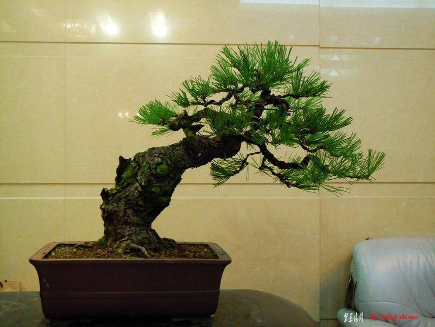 DSCN2458.JPG
