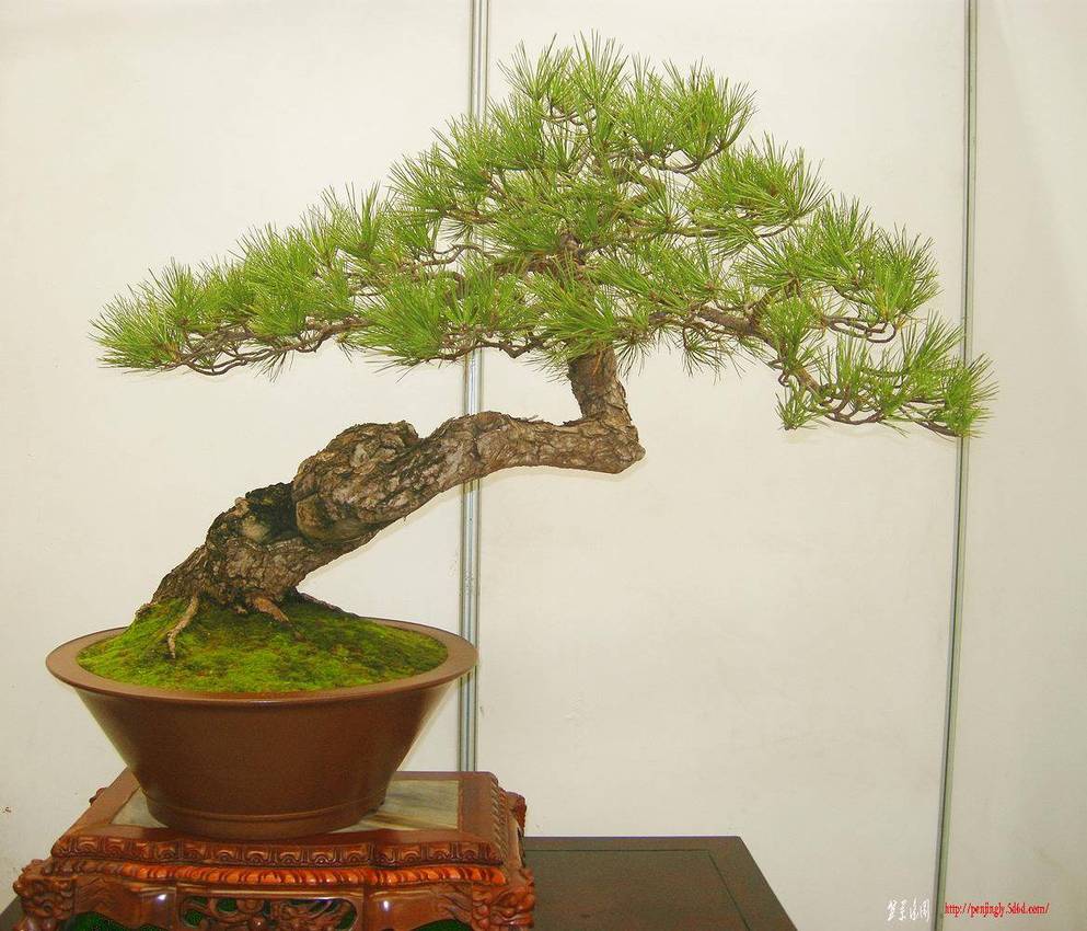DSCN1560.JPG