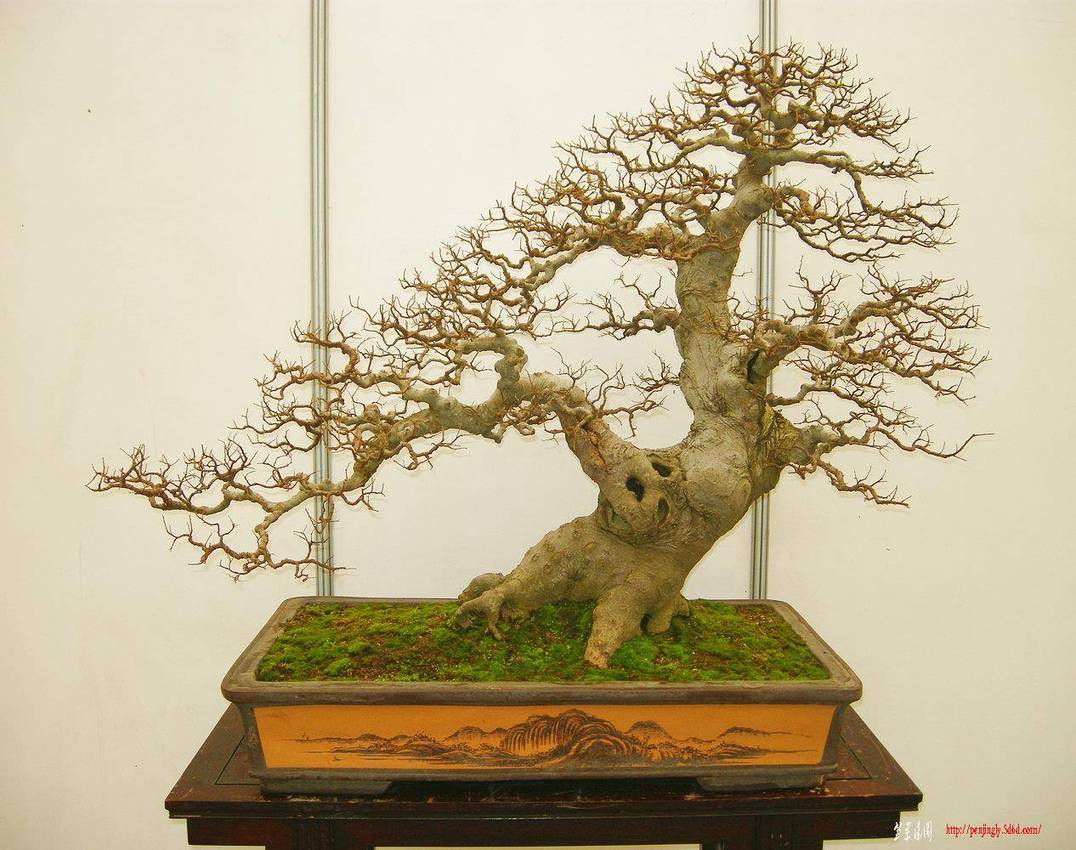 DSCN1525.JPG