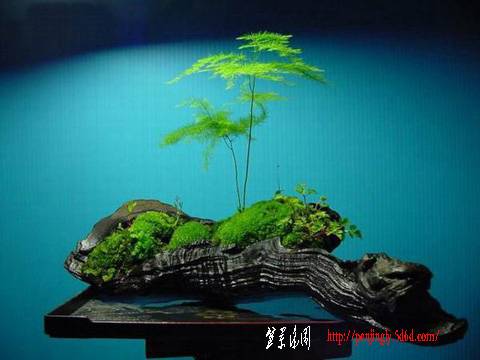 20081227042504.jpg