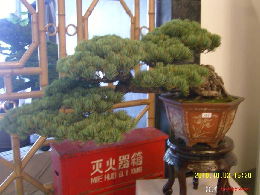 SNC16709.JPG
