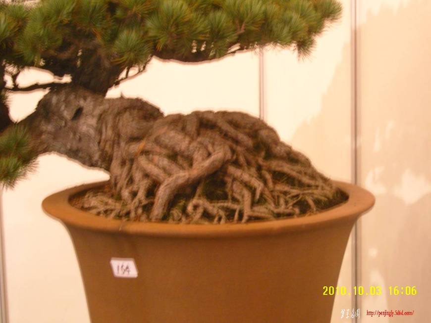 SNC16780.JPG