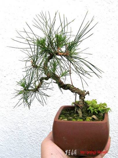 ع ת IMG_0537.jpg