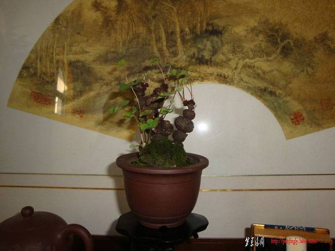DSC03420.JPG