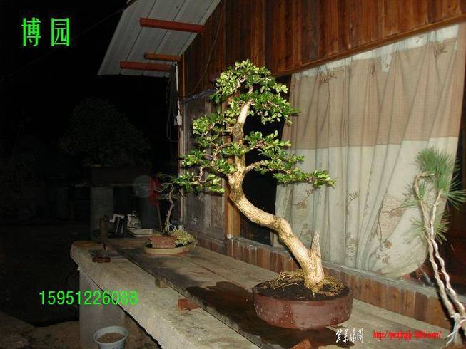 10100418566abaa08dd502b84c.jpg