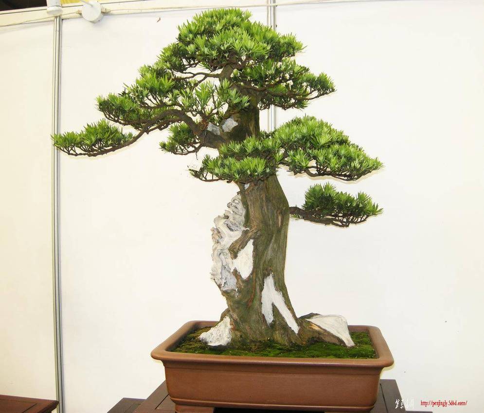 DSCN1518.JPG