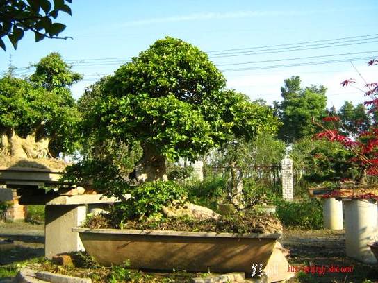 2010104辰Ƭ 011.jpg