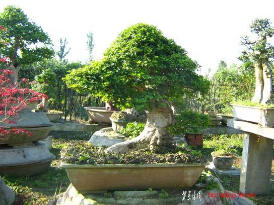 2010104辰Ƭ 006.jpg