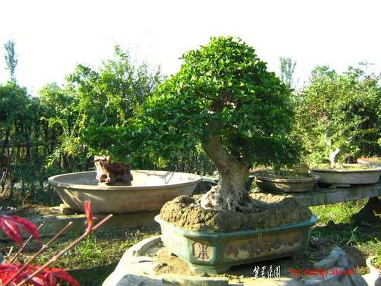 2010104辰Ƭ 007.jpg