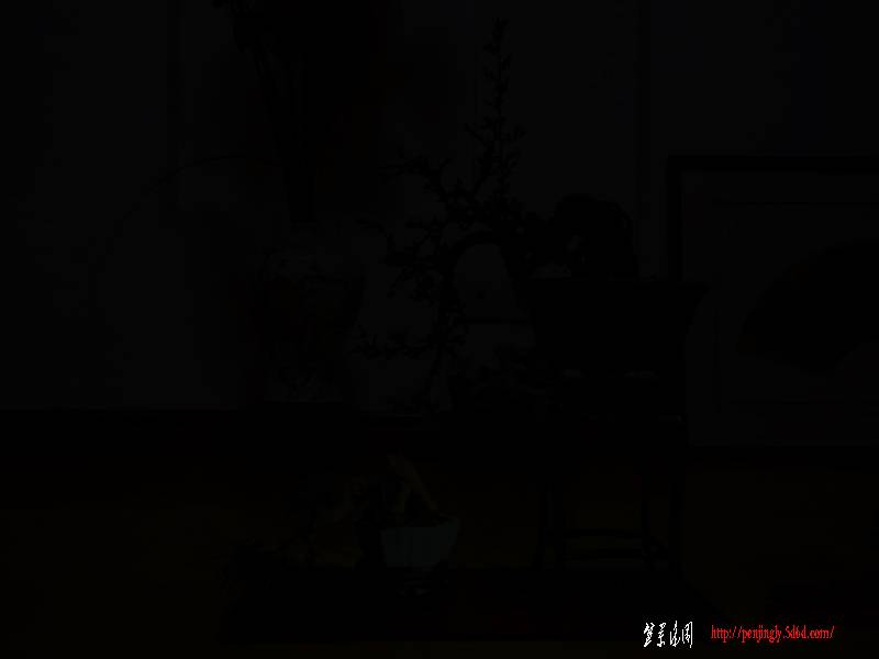 1010072027f5c854cfe8ee1d93.jpg