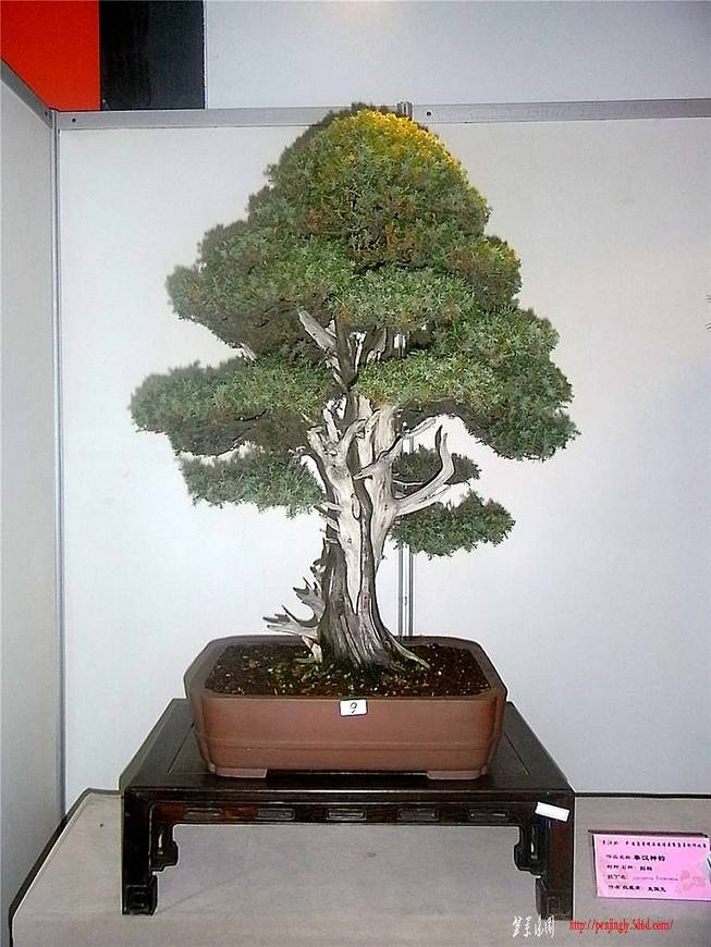 RIMG0368_.jpg