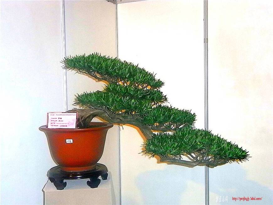 RIMG0500_.jpg