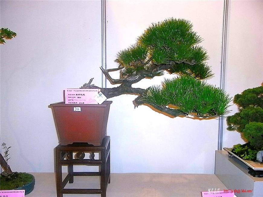 RIMG0496_.jpg