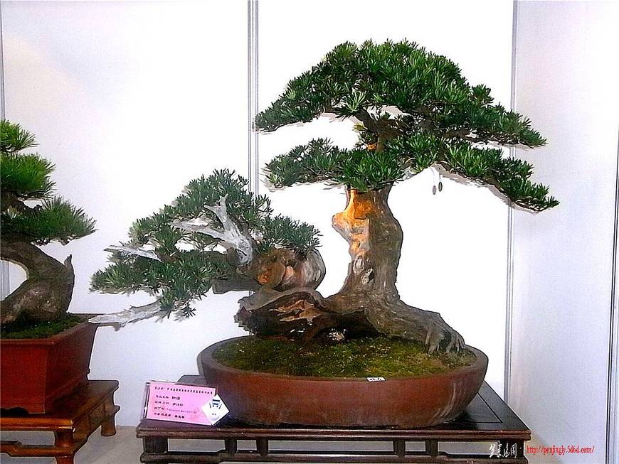 RIMG0507_.jpg