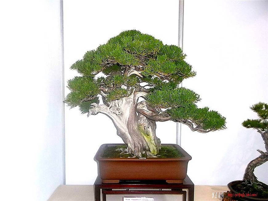 RIMG0562_.jpg