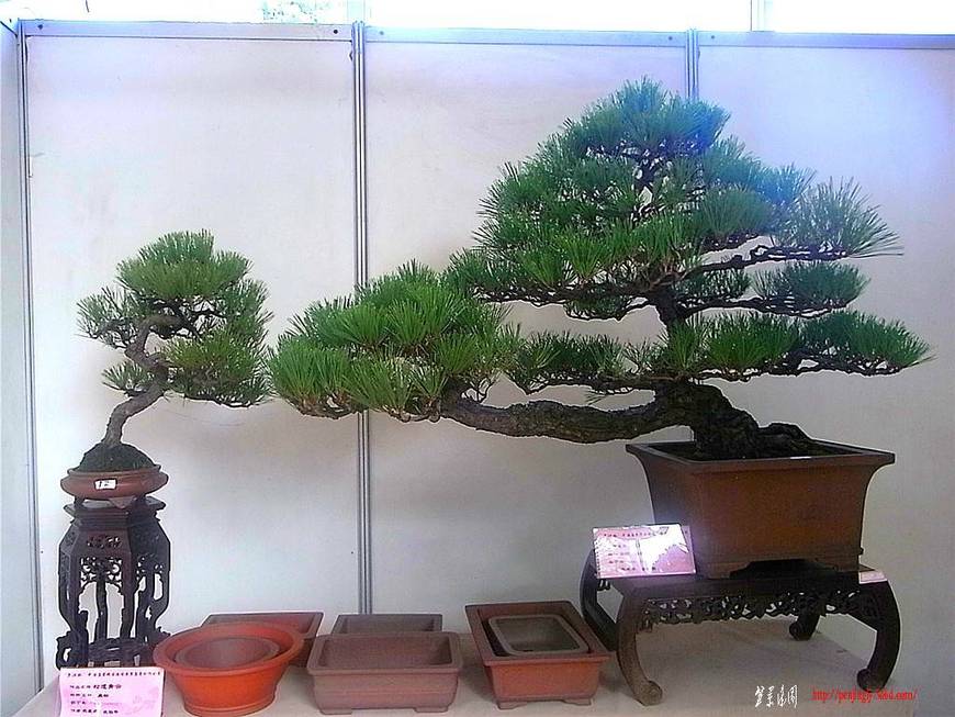RIMG0592_.jpg