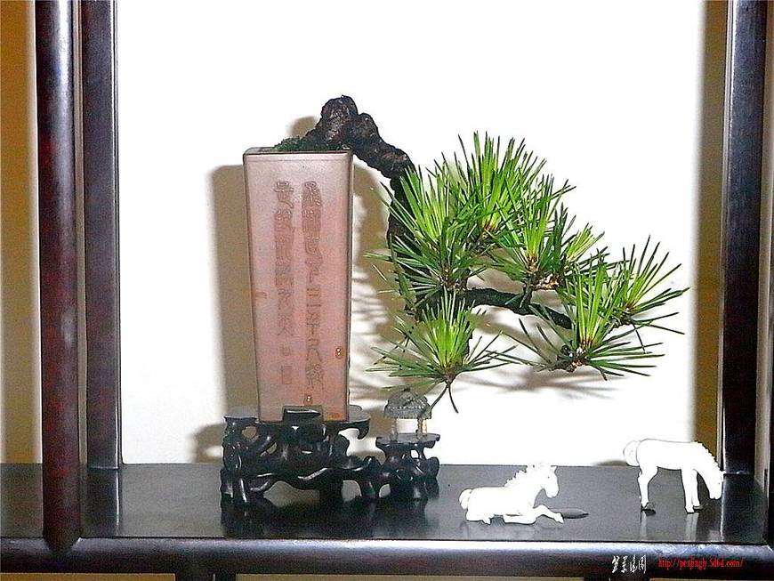RIMG0388_.jpg