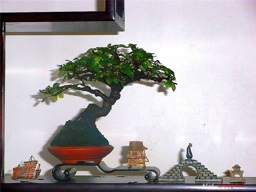 RIMG0382_.jpg