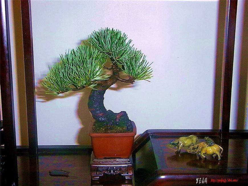 RIMG0435_.jpg
