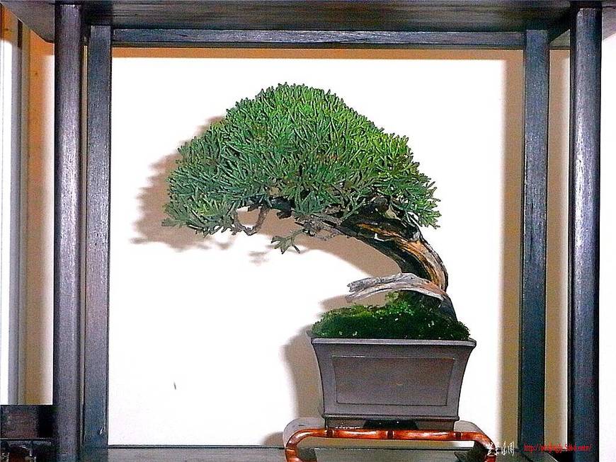 RIMG0449_.jpg