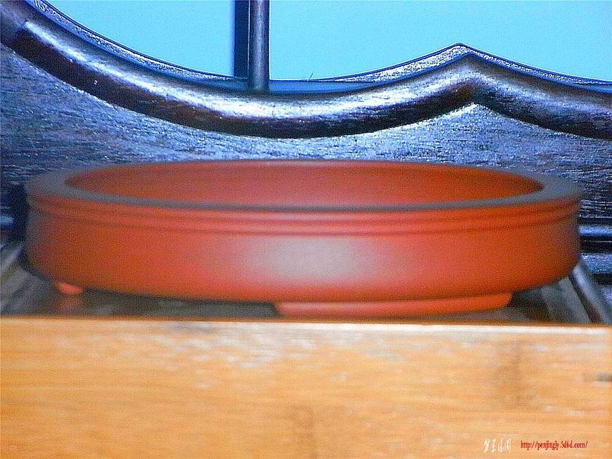 RIMG0582_.jpg