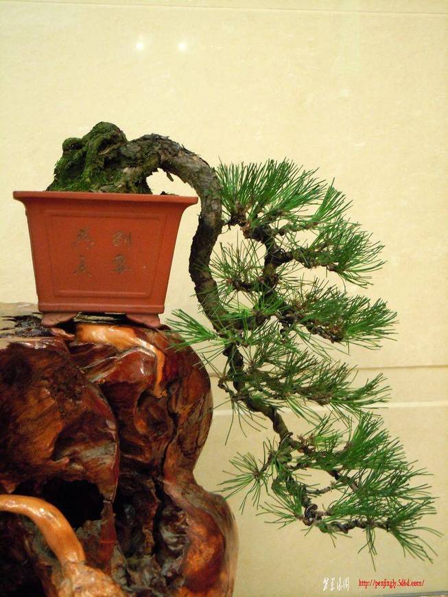 DSCN2830.JPG