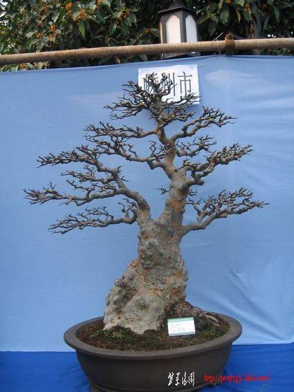 2010.10.10չ(13.jpg