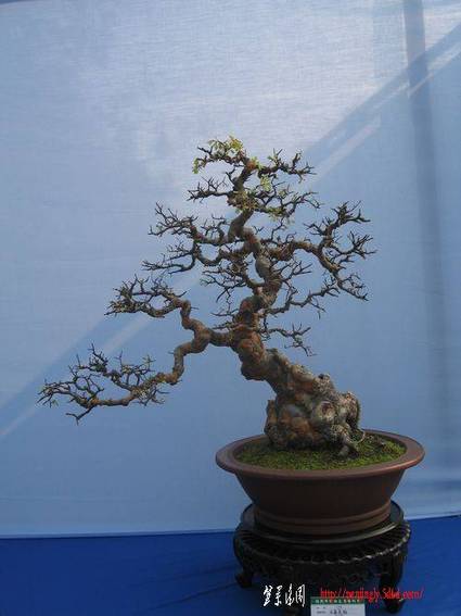 2010.10.10չ(8.jpg