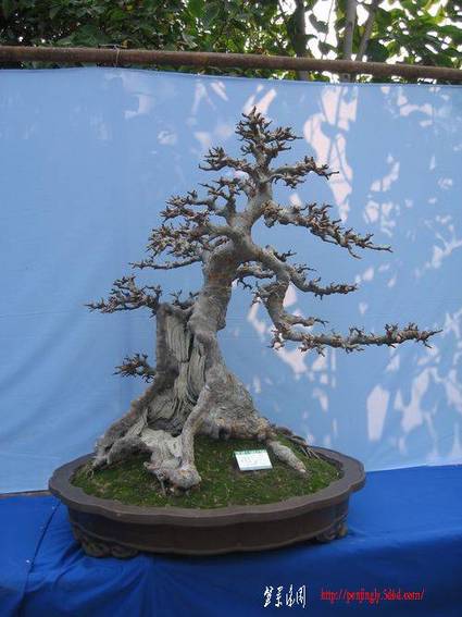 2010.10.10չ(9.jpg