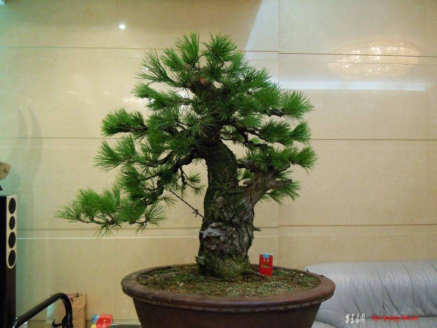 DSCN3019.JPG